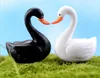 100pcs żywica Whiteblack Swan Miniatures Akcesoria krajobrazowe do dekoracji ogrodu domowego Scrapbooking rzemiosło DIY2828745