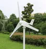 500W Windmill Wind Turbine Generator Kit Gratis energikraftgenerator 12V eller 24V, 5 blad, låg start för bostadsanvändning