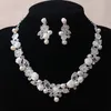 L'orecchino della collana da sposa del fiore d'argento di bellezza si adatta a 2 pezzi di gioielli per abiti da sposa gioielli da sposa P419014