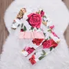 Baby Girls Clothes Newborn Infant Toddler Kids Long Sleeve Top Shirt Dress +Pant 2Pcs Flower Outfit Baby Girls Clothing Sets