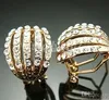 Dazzlingl Crystals 14k gold Earrings studs
