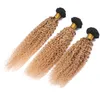 Kinky Curly Virgin Indian Honey Blonde Ombre Human Hair Weave Bundlar 3PCS Lot Två Tone 1B / 27 Ljusbrun Ombre Human Hair Extensions