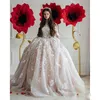 2017 vestidos de quinceañera Champagne Blush mangas Ragazza corsé espalda con cuentas vestido de fiesta princesa vestidos de baile dulce 16 vestidos largos del desfile