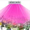 LED Grow Light X3 / X4 / X5 / X6 900W / 1200W / 1500W / 1800W Full Spectrum LED Grow Lights voor alle fases Indoor Skashouse Plant Bloom