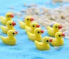 30 sztuk Bezpłatne przesyłanie Hurtownie Trwałe Kreskówki Dekoracyjne Duck Garden Garden Miniatury Mini Ogród Żywicy Rzemiosło na ślub i Home Garden Sadzenie