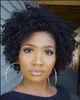 Breve BOB parrucche afro vergini ricci crespi peruviani per capelli umani per donne nere