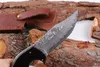 Top Quality Damascus Steel Survival Straight Hunting Knife 58HRC Rosewood&Ebony Handle Fixed Blade Knives with Leather Sheath