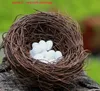 10Sets Hars Miniaturen Leuke Mini Bird Nest met eieren 2Sized Fairy Miniatuurdecoratie voor Tuin Bonsai Home Leveranciers