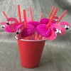 Pailles en plastique à boire pour anniversaire mariage équipe mariée poule fête décoration bébé douche cadeau artisanat bricolage faveur flamant rose design