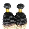 Kinky Curly Virgem Cabelo ombre tecer cabelo loiro T1B / 613 brasileiro do cabelo weave bundles 200g brasileiro kinky curly 2 PCS