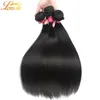 Grade 7A Whole Peruvian Virgin Hair Extension 100 Human Hair Weft Straight Natural Color Can be Dyed And Bleached47169499171776