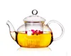 1pc Praktisk 400ml Resistent flaskkopp Glas Tekanna med Infuser Tea Leaf Herbal Coffee 400ml J1010-1