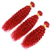 Braziliaanse kinky krullend haar rood 99j Bourgondië natte en golvende menselijke haarverlenging Goedkope Braziliaanse Krullend Maagd Haar Rood 3 Bundels