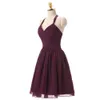 Grape Purple Sexy Chiffon Bridesmaid Dresses Short Halter Neck Backless Pleated Under 50 Beach Country Maid of Honor Gowns