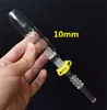 Smoking Glass Pipes Mini Kit with 10mm 14mm 18mm Titanium Tip Quartz Nails Oil Rig Concentrate Dab Straw for Glass Bong