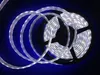 5M 5050 3528 5630 Led Strips Light Warm White Red Green Blue RGB Flexible 5M Roll 300 Leds 12V outdoor Ribbon Waterproof 300300