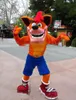 Venta directa de fábrica personaje de dibujos animados Crash Bandicoot traje de la mascota del tamaño adulto venta caliente trajes de anime carnaval disfraces Kits para el deporte