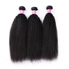 10 paquets entiers lot 7a crépus droites vierges brésiliens cheveux tisse 1b naturel noir humain remy trame de cheveux pour les femmes noires foraw2158953