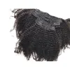 4C Afro Kinky Curly Clip in Hair Extension Asian Remy Human Hair Clip ins Full Head 7 pcsset FDSHINE6743179