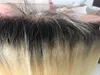 Nowy przylot Brazylijski Yaki Human Hair Top Klasa Światło Yaki Nieprocentowane Yaki Hair Extensions