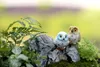 4 estilo Búho pájaros animales Artesanía Regalos micro mini jardín de hadas miniaturas figuritas Figura de acción Juguetes ornamento terrario