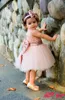 Baby Infant Toddler Birthday Party Sukienki Blush Różowy Róża Złote Cekiny Łuk Koronki Załoga Nisze Herbata Długość Tutu Ślubny Kwiat Girl Dresses 2019