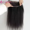 Brazylijskie włosy Kinky 8A 360 koronkowe z wiązką perwersyjne proste zamykanie dziewiczy splot włosów koronkowy czołowy zamknięcie z pakietami 8313213