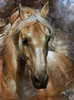 caballo animal, pintura al óleo del arte animal pintado a mano puro genuino en la lona gruesa tallas múltiples el envío libre ny