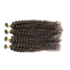 Malaysian Curly Hair Human U Tip Hair Extensions