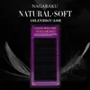 Nagaraku Individual Cils 5 cas Ensemble Toutes les tailles 16 rangées / cils de haute qualité Extensions de cils Premium Soft Naturel Faux Cils