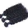 Afro Curly Brazilian Human Hair Weave Bundlar Jerry Curl 100 Human Hair Extensions Dubbel drunkna väft för svarta kvinnor