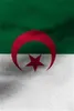 10pcslot Die Nationalflagge 90 150 cm Algerien Banner Flaggen Festliche Partyzubehör3247665