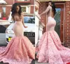 Południowoafrykański Różowy Z Długim rękawem Prom Dresses Sexy See przez Sheer Dekolt Mermaid Suknie Wieczorowe Otwórz Wróć Formalne Vestidos Party Dress