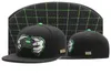 Cayler Oğullar Snapback Caps Yılan Ocak İşlemeli Mektuplar CS Beyzbol Şapkaları Bros Hoes Caylor ve Son Hats Ball Cap5480107