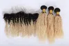 Ombre Cor Loira # 1B 613 Cabelo Virgem Peruano Trama Com Fechamento Frontal Raiz Escura Kinky Curly Cabelo Bundles Com Fechamento de Renda Frontal