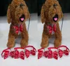 100st/Lot Dog Apparel Girl Pet Dog Puppy Cat Cute Ribbon Bow Ties Slips Bowknot Grooming Products blandade eller välj BN89