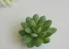 12pcs Resin Succulent Plants Name Number Menu Table Place Card Holder Clip Wedding Baby Shower Party Reception Favor