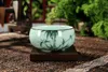 Cinese Longquan Celadon Porcelain China Teacups Golden Fish 60ml China Tea Pot Celadon Crackle Tazze da tè