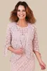 Vintage blush syrenka matka panny młodej Dwa kawałki plus rozmiar suknie gościnne z rękawami pełnych koronkowych suknia matek