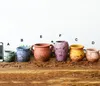 6 ADET-PAKET Çok Renkli Çin RetroStyle Saksı Saksı Etli Bitkiler Saksı Terracotta Pot Bahçe Dekorasyon için Mini Saksılar