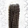 Brasilianska Virgin Hair 100s Afro Kinky Curly Micro Loop Human Hair Extensions Naturfärg 100g Curly Micro Bead Hair Extensions
