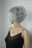 En gros livraison gratuite FIXSF256 fantaisie argent gris perruques courtes pour les femmes perruque de cheveux