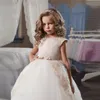 Champagne Puffy Lace Flower Girl Dress para casamentos Organza vestido de baile menina partido comunhão vestido pageant vestido