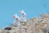 Fairy Garden Miniature rabbit bunny garden decorations white color artificial mini rabbits resin crafts bonsai decors