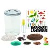 Jouets créatifs en gros pour enfants Creativity Terrarium brillera, les bouteilles en cristal feront pousser des plantes