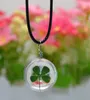 Brand new Explosive handmade plants dried flowers necklace lace flower glass ball pendant WFN315 (with chain) mix order 20 pieces a lot