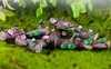 6pcs Flower Tremp Bonsaï Figurines Fairy Garden Miniatures For Terrariums Ornement Dollhouse Home Decor Resin Craft3362343