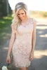 2017 New Champagne Lace Short Country Bridesmaid Dresses Cheap V Neck Short Sleeve Mini Maid Of Honor Gowns Custom Made China EN2041