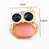 Blue Eye Owl Broche Mode Opal Uil Broche Pins Fashion Lady Sjaal Broach Women Broach Buckle Pins Lovely Pins