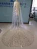 2020 однослойная свадебная фата длиной 3 метра, реальное изображение, длина собора, расшитая блестками, аппликация, тюль, фата с гребнем